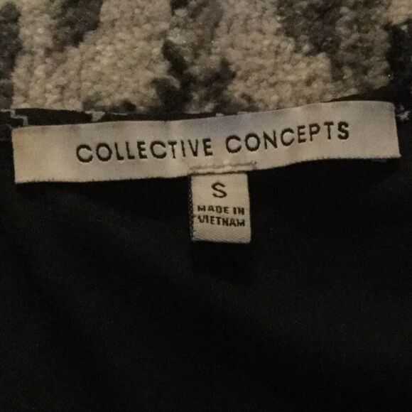 * Collective Concepts Embroidered Trim Pleat Dress - Picture 5 of 7